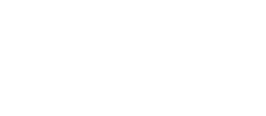 Yahaya Seriki Foundation